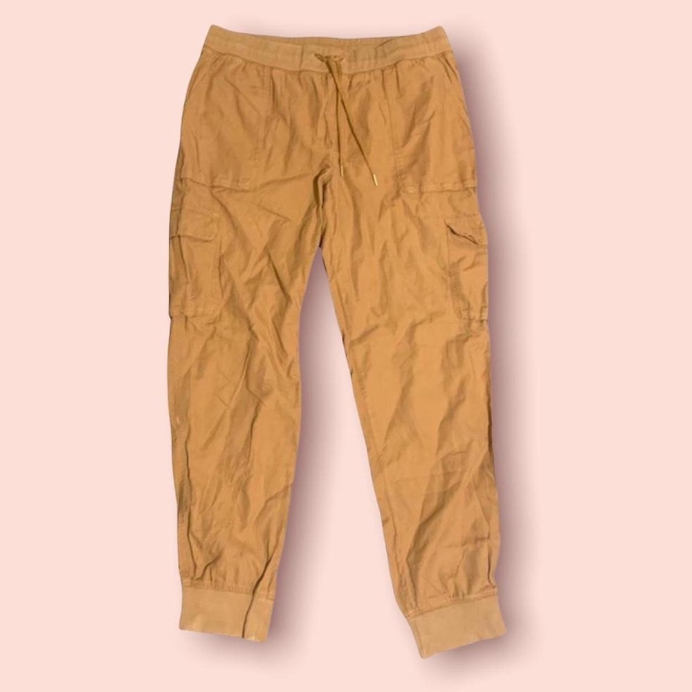 Aritzia Community Cargo Joggers🍊
